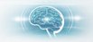 Image of a brain